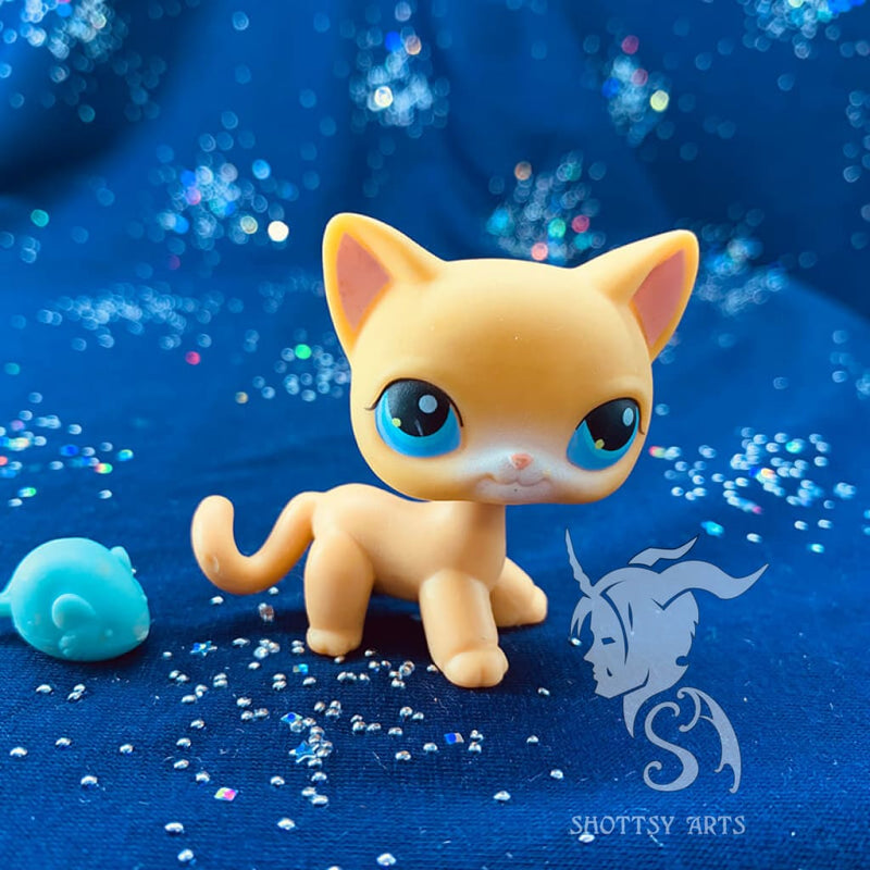 Curious Kitties Playset Action Figure